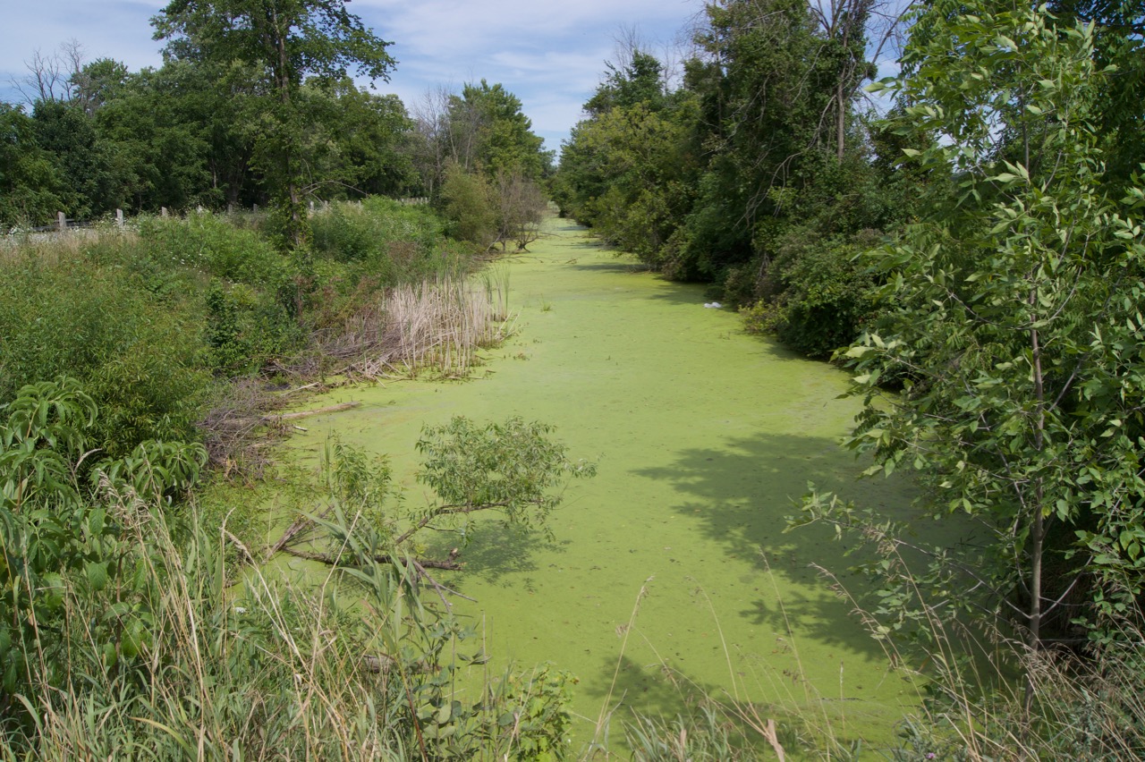 A feeder canal supplies water to the Welland Canal system